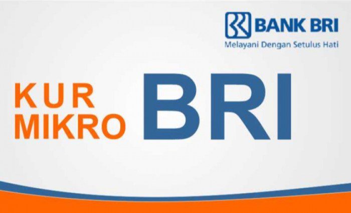 syarat pinjaman bank bri tanpa jaminan untuk usaha