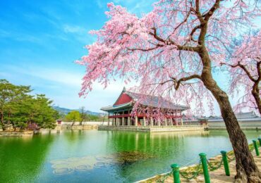 syarat wisata ke korea selatan