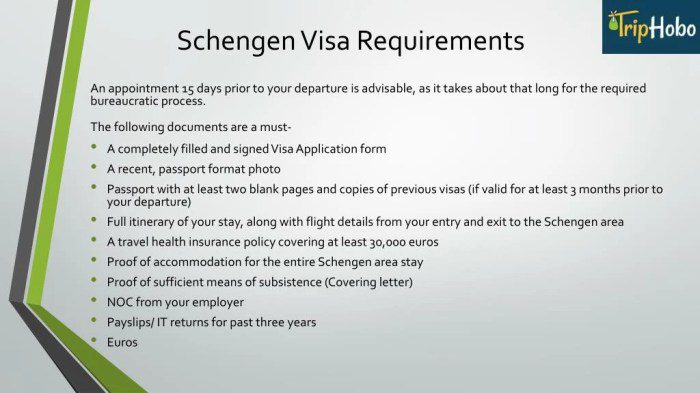 Syarat schengen visa